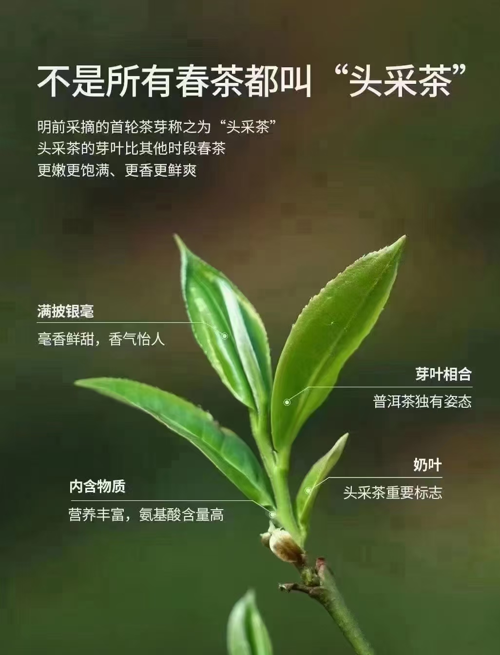 幻灯二
